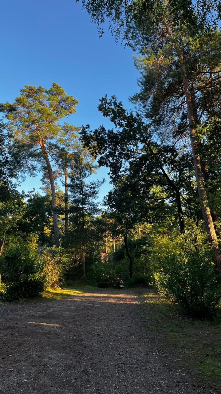 Vakantiehuis Vliegend Hert Veluwe Nunspeet Luaran gambar