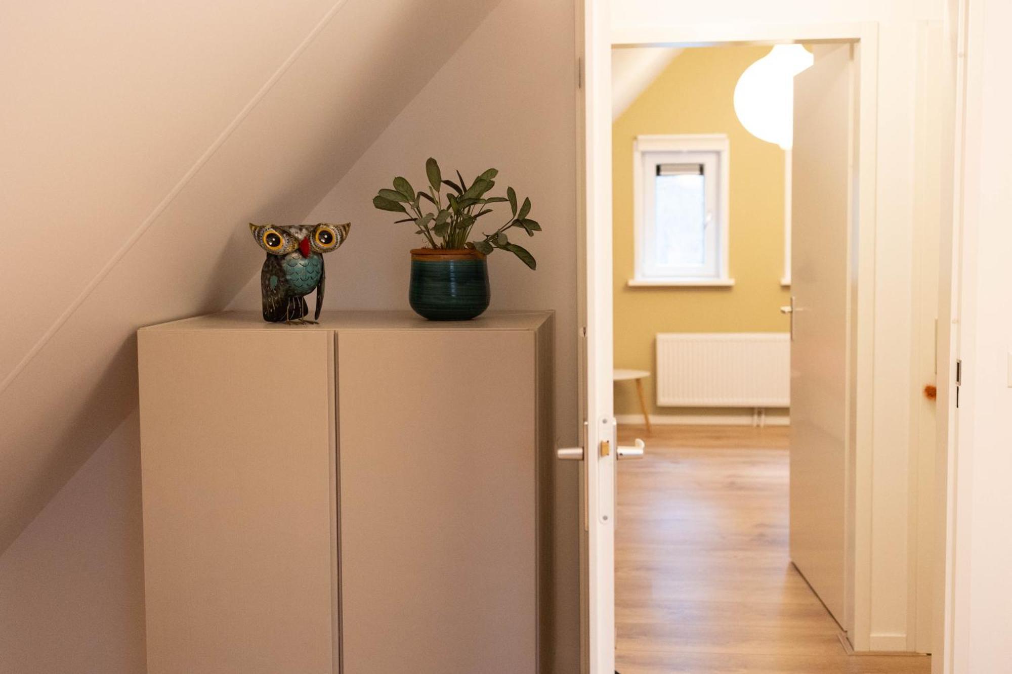Vakantiehuis Vliegend Hert Veluwe Nunspeet Luaran gambar