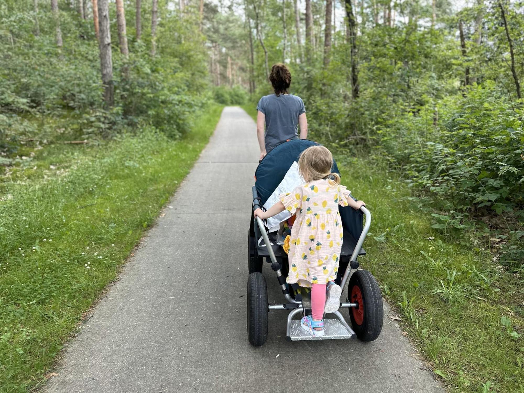 Vakantiehuis Vliegend Hert Veluwe Nunspeet Luaran gambar